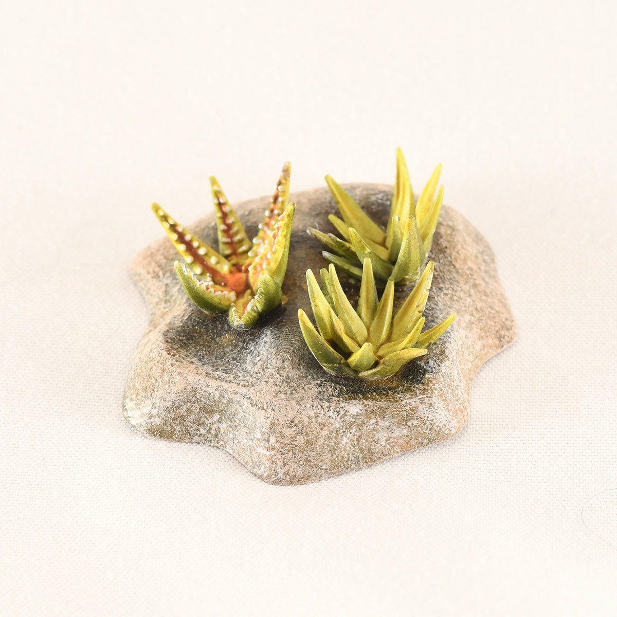 Kahari Desert scatter