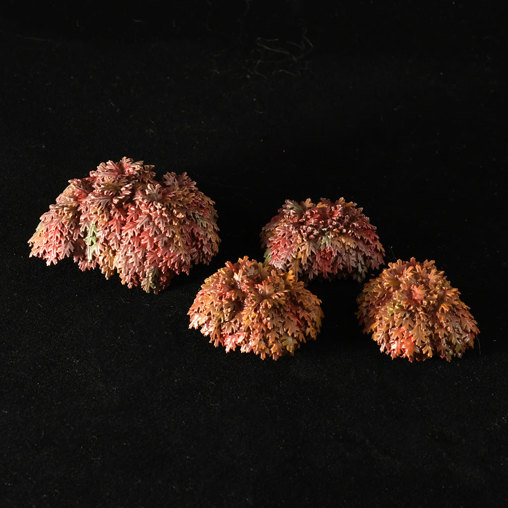 Myrkwood Trees