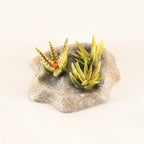 Kahari Desert scatter