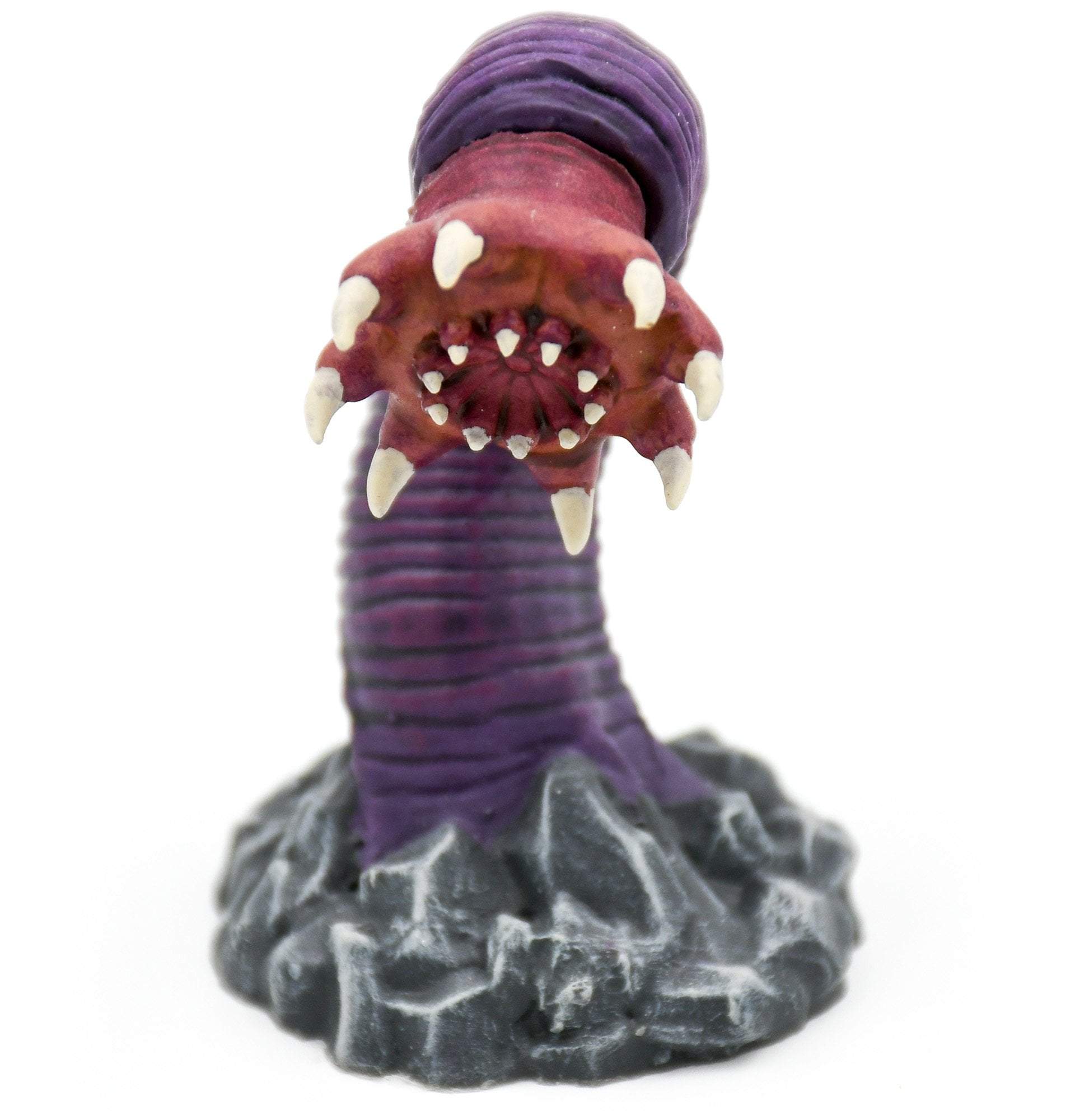 Rock Worm