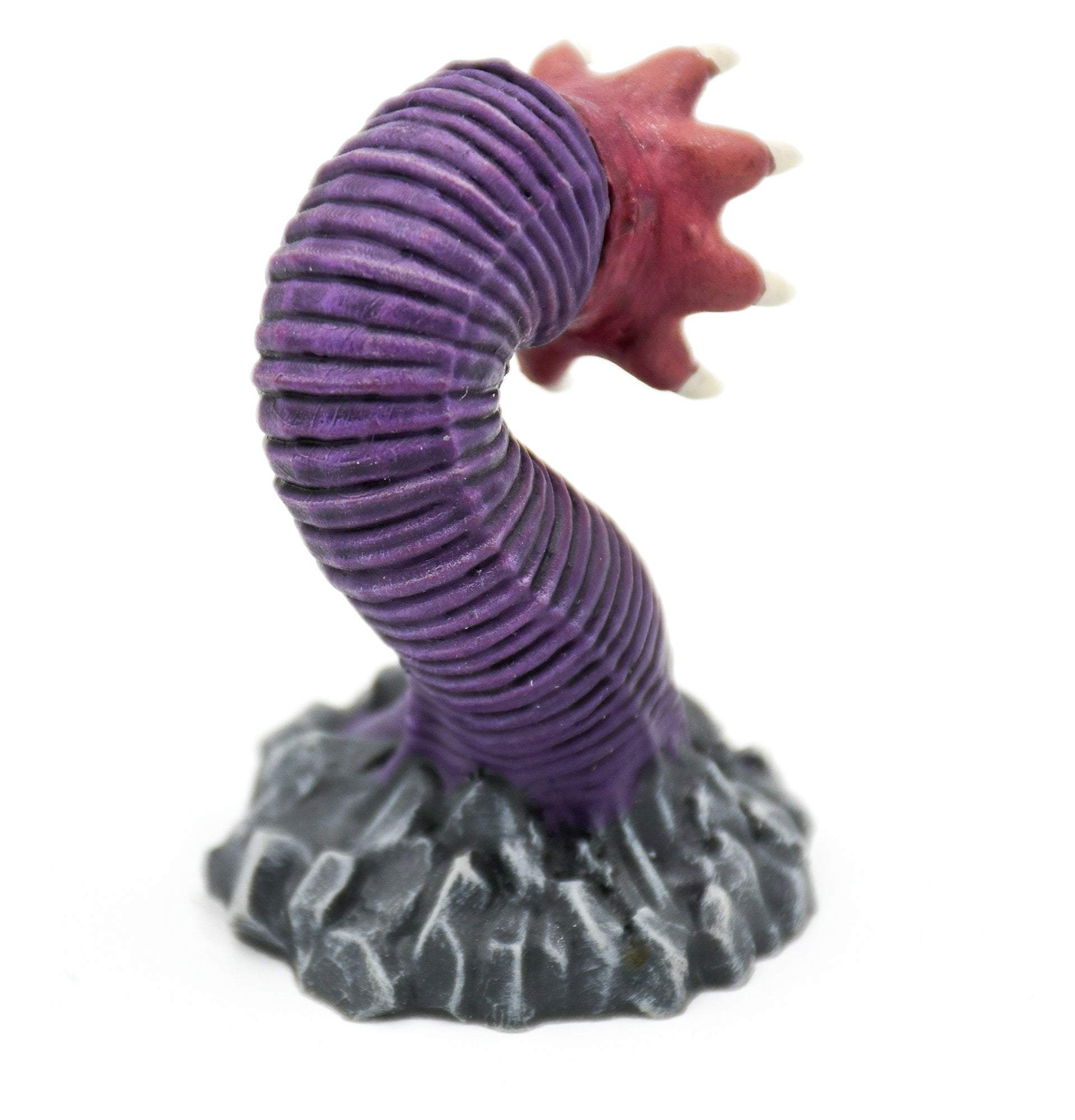 Rock Worm